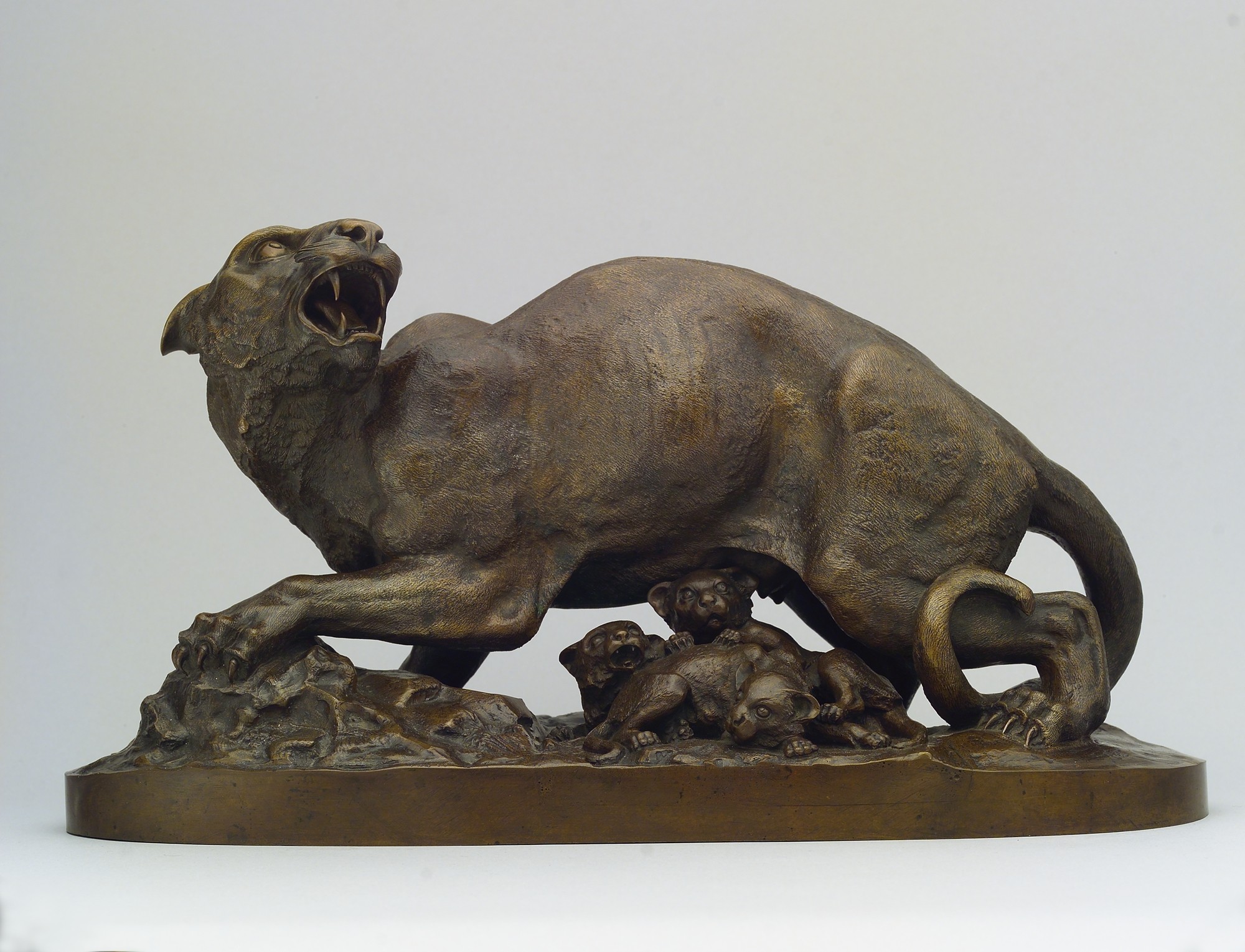 Panther and Cubs. ca. 1850–55. Henry Kirke Brown