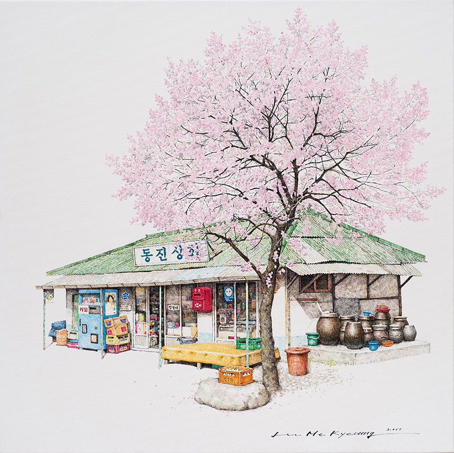 Lee Me Kyeoung. A small store. South Korea