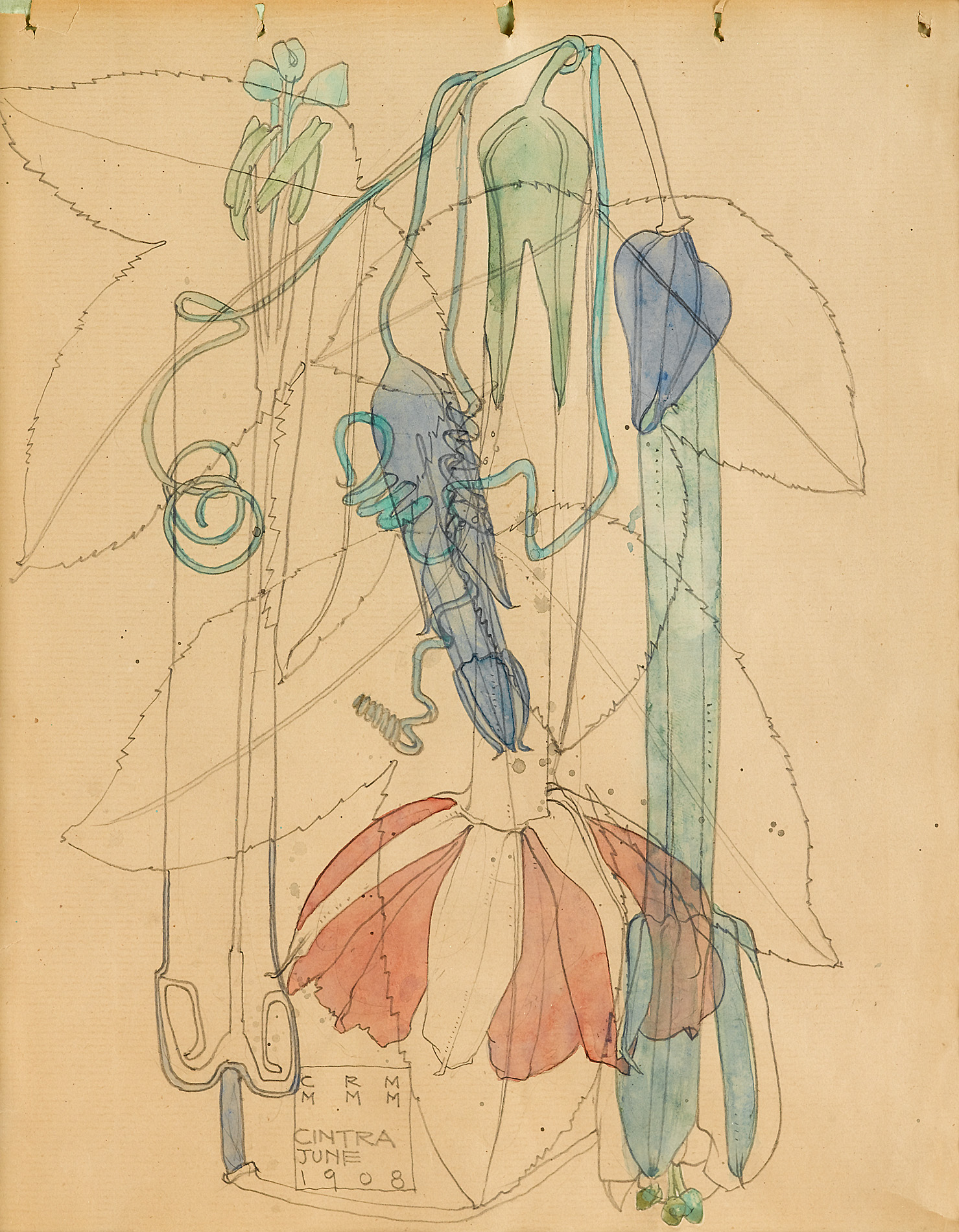Charles Rennie Mackintosh. Tacsonia. 1908. Source: The Metropolitan Museum of Art
