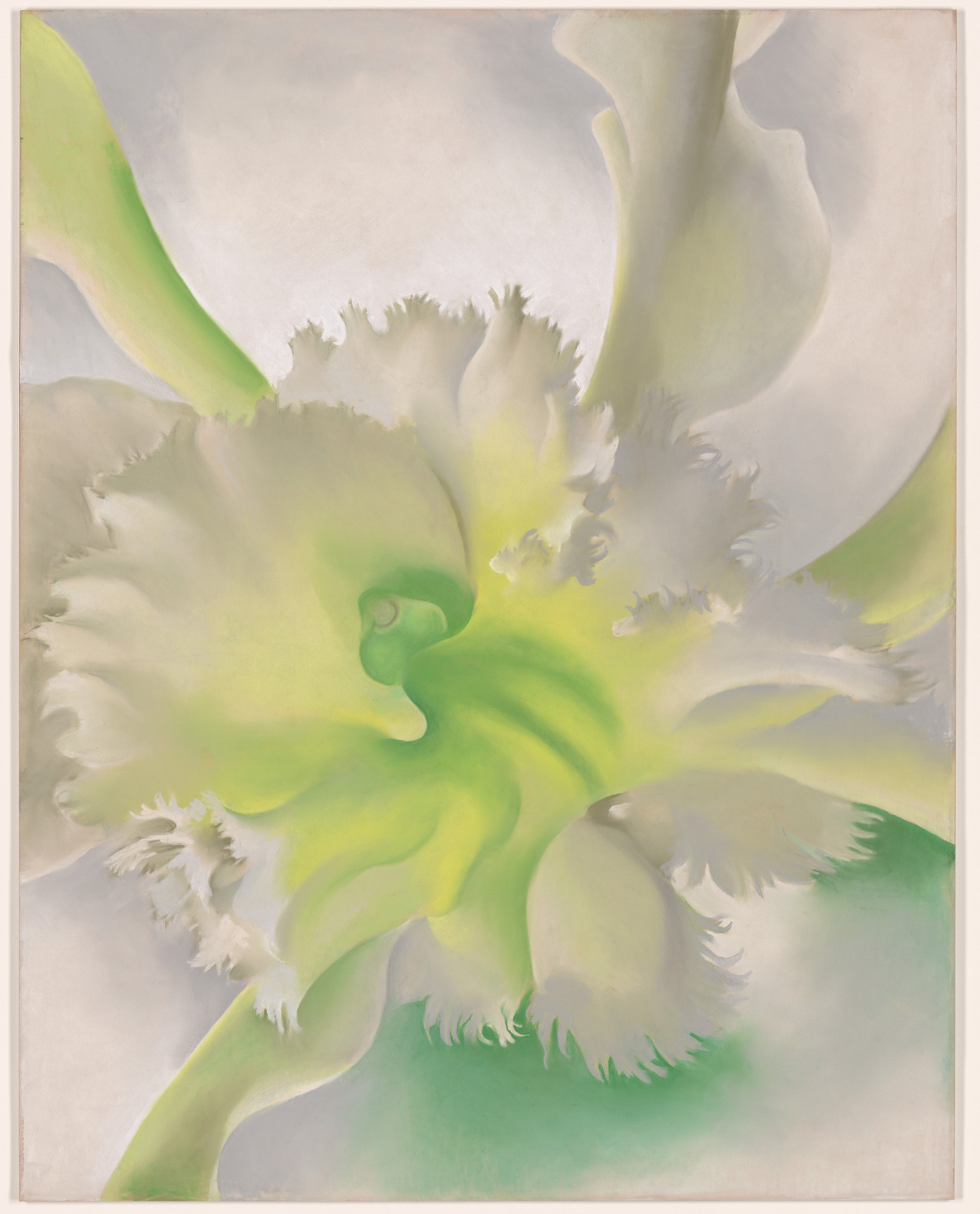 Georgia O'Keeffe. An Orchid. 1941. Source: MoMA