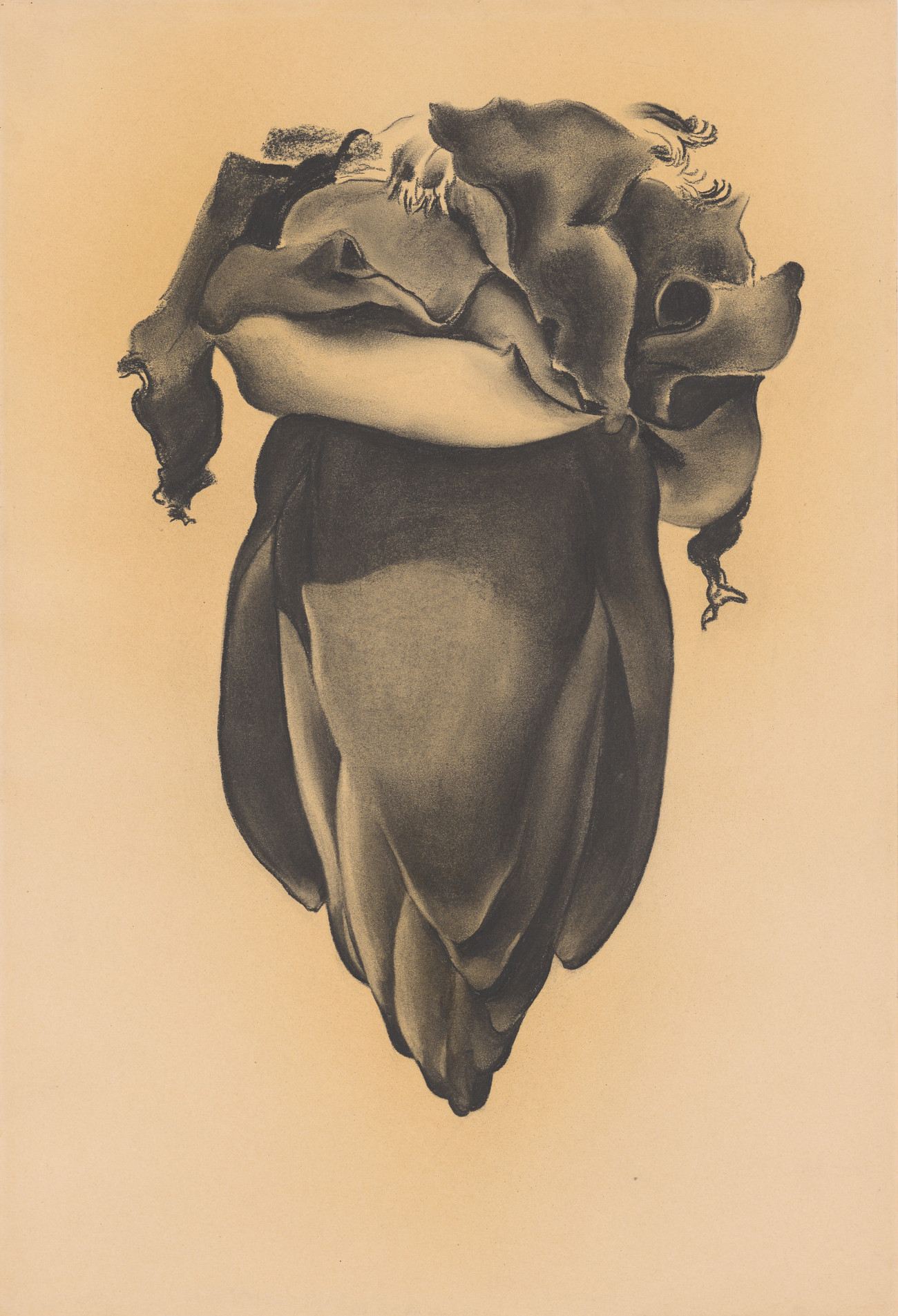 Georgia O'Keeffe. Banana Flower. 1934. Source: MoMA