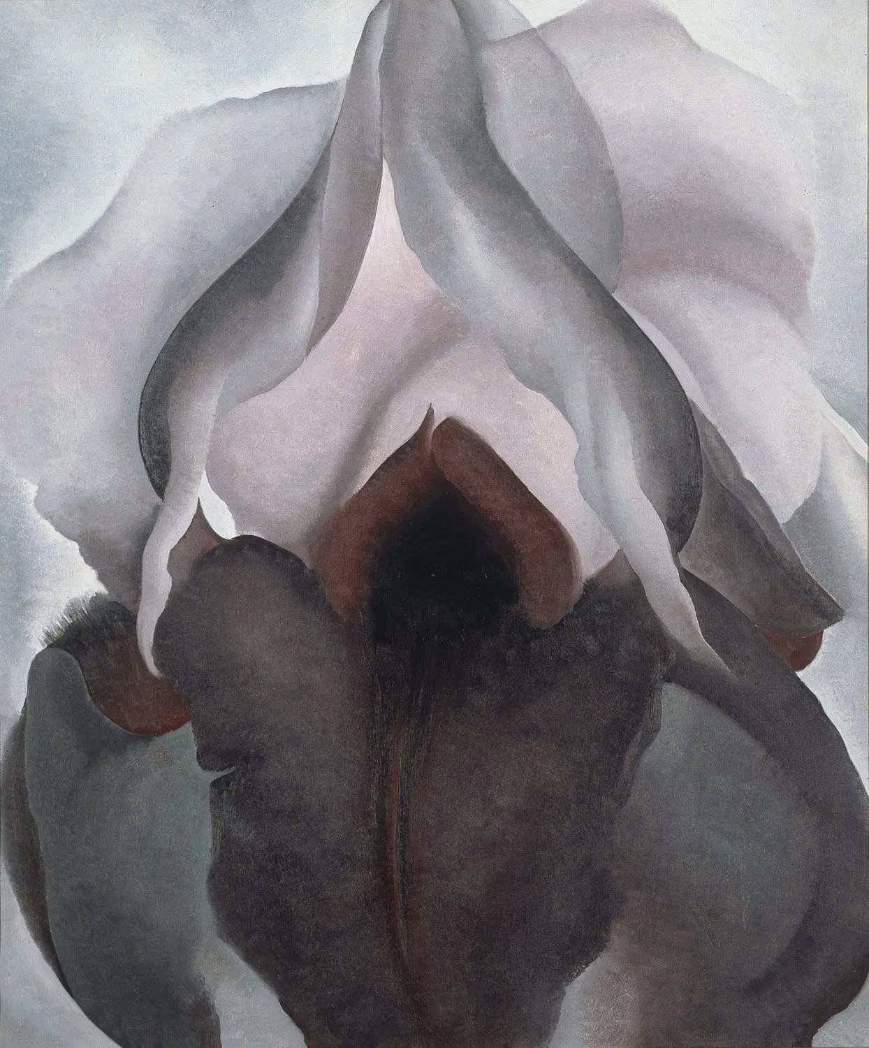 Georgia O'Keeffe. Black Iris. 1926. Source: metmuseum
