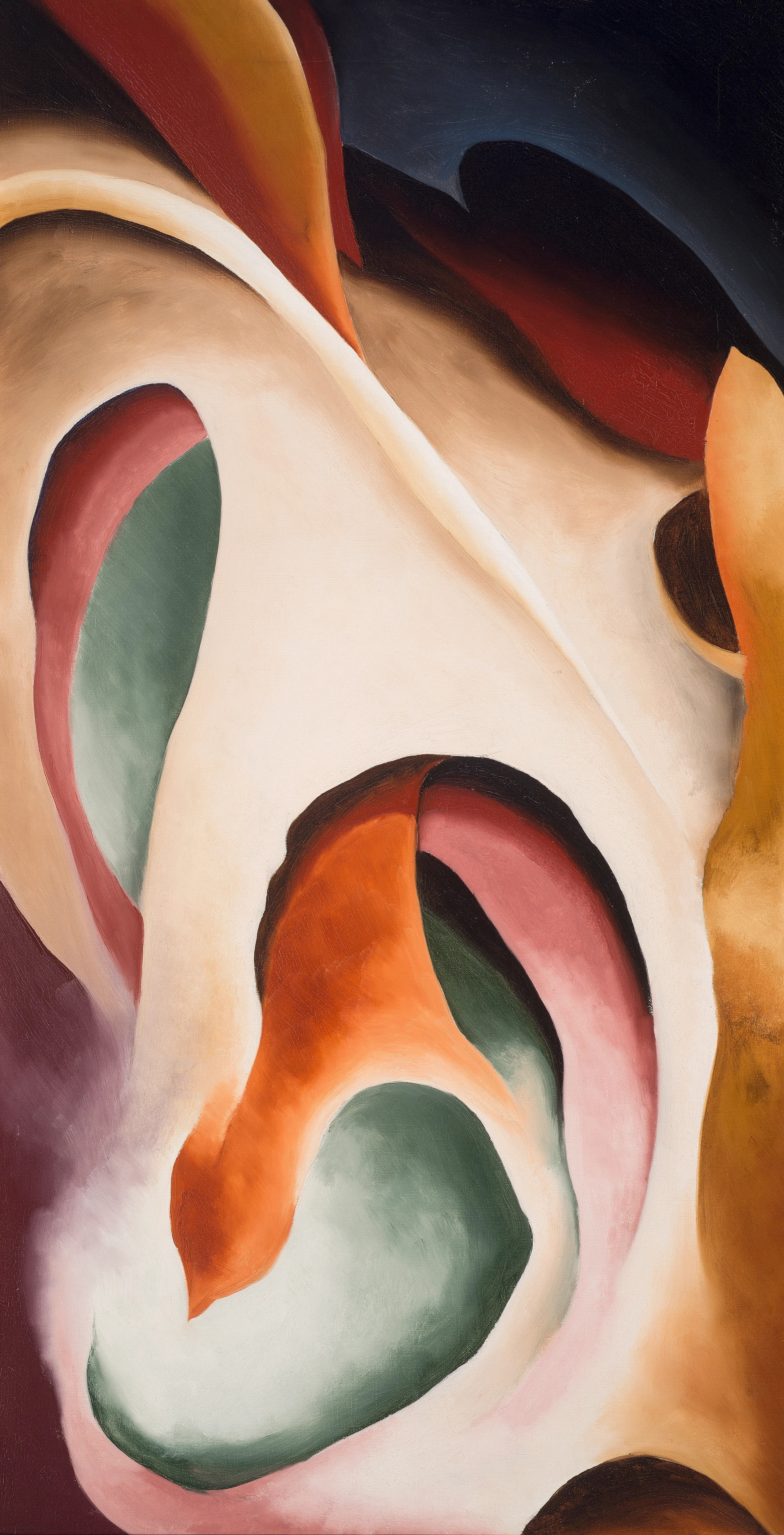 Georgia O'Keeffe. Leaf Motif, No. 2. 1924. Source: McNay Museum of Art, Mary and Sylvan Lang Collection