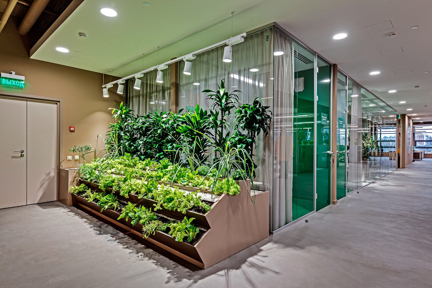 Озеленение офиса Иль де Ботэ, выполненное компанией FitoTimes