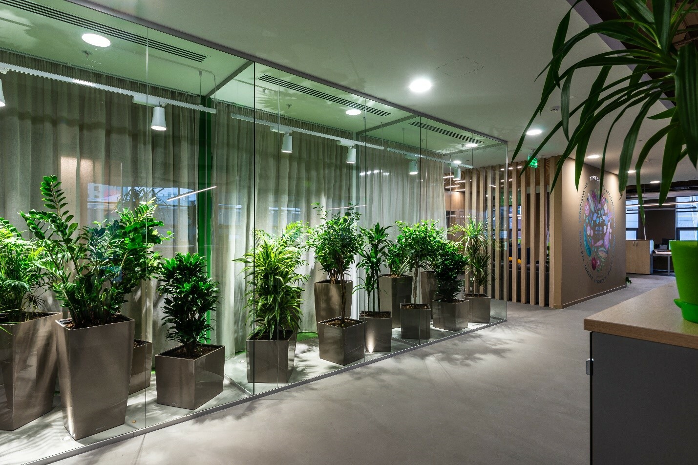 Озеленение офиса Иль де Ботэ, выполненное компанией FitoTimes