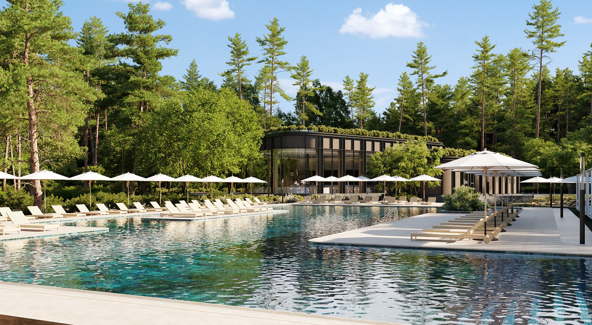 Бани Малевича, Одинцовский г.о., Парк Малевича. © DBA-GROUP