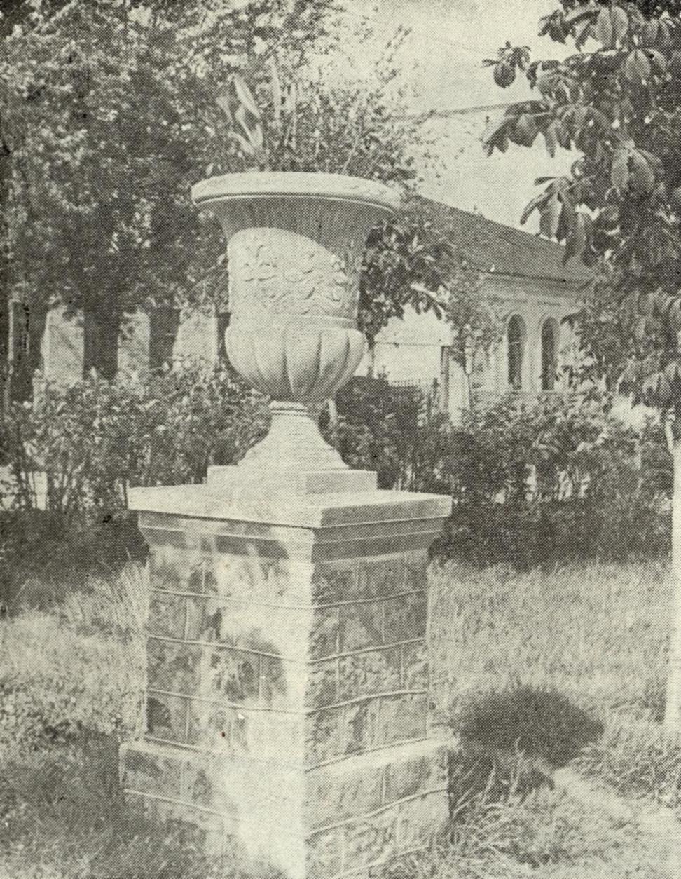 Рис. 8. Ваза на газоне, г. Киев.