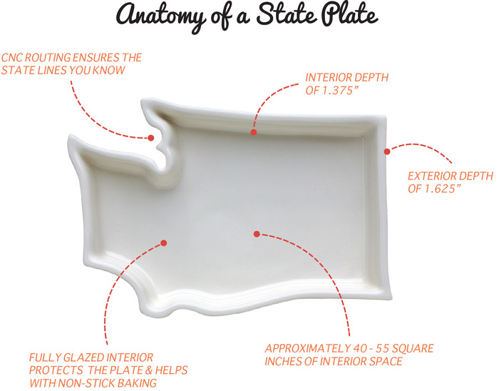 анатомия штата тарелки
