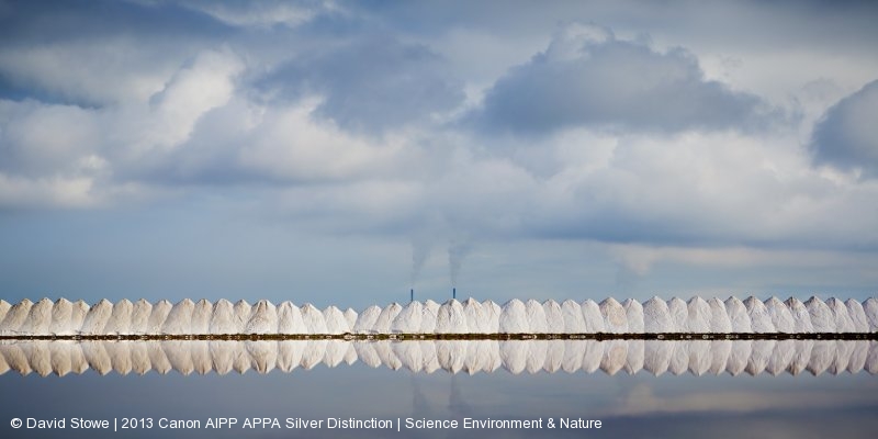 David Stowe — 2013 AIPP финалист номинации «Наука, окружающая среда и природа»
