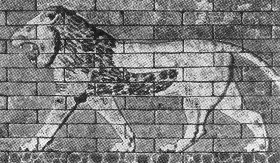 27. Вавилон. Один из львов, изображенных по сторонам дороги процессий, VI в. до н. э., и изображение дракона на воротах Иштар, VI в. до н. э.