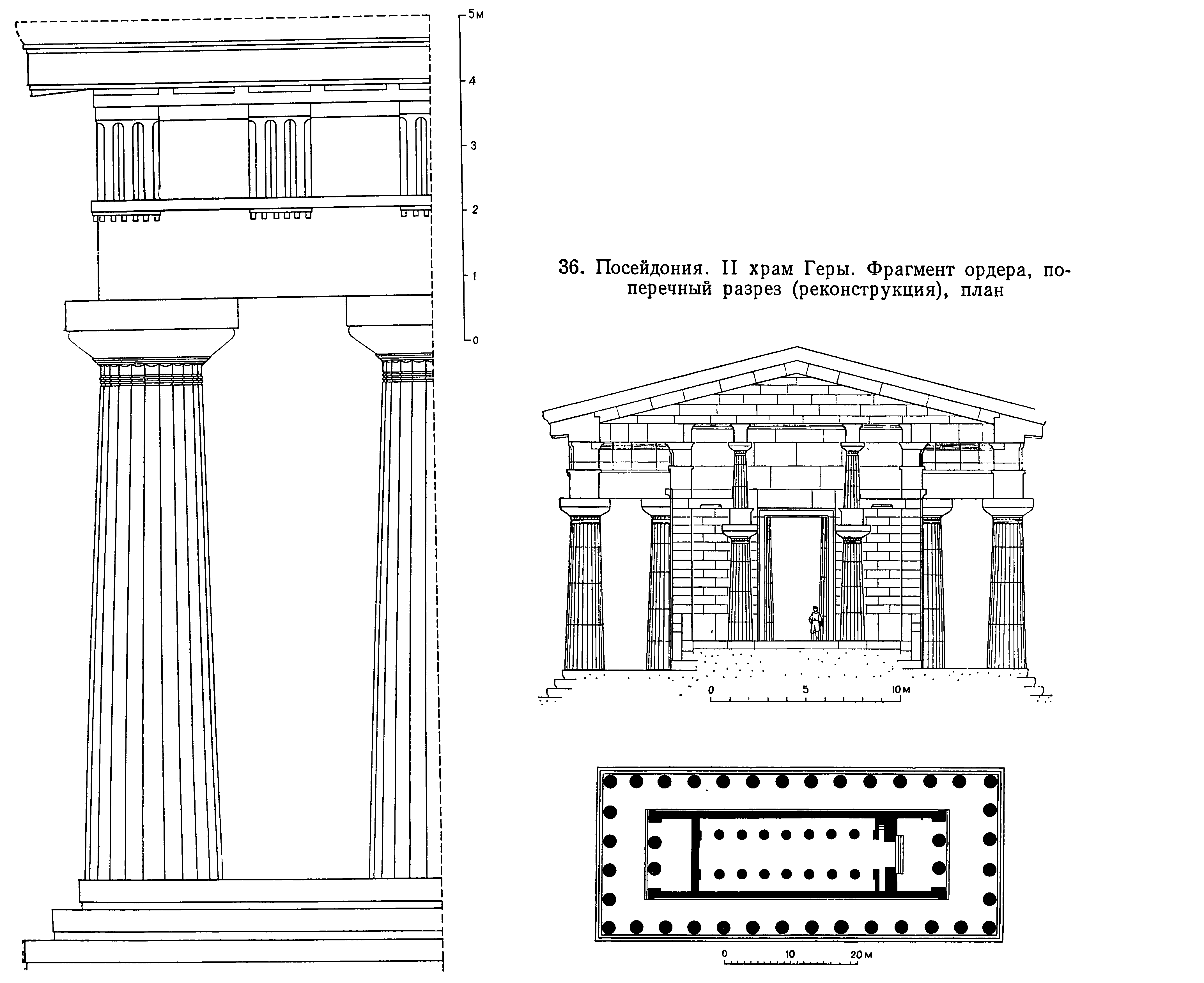 36. Посейдония. II храм Геры. Фрагмент ордера, поперечный разрез (реконструкция), план