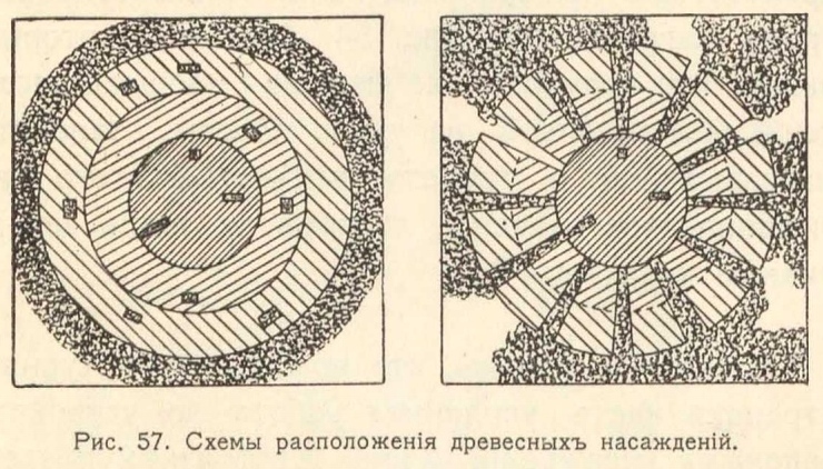 Рис. 57. Схемы расположения древесных насаждений.