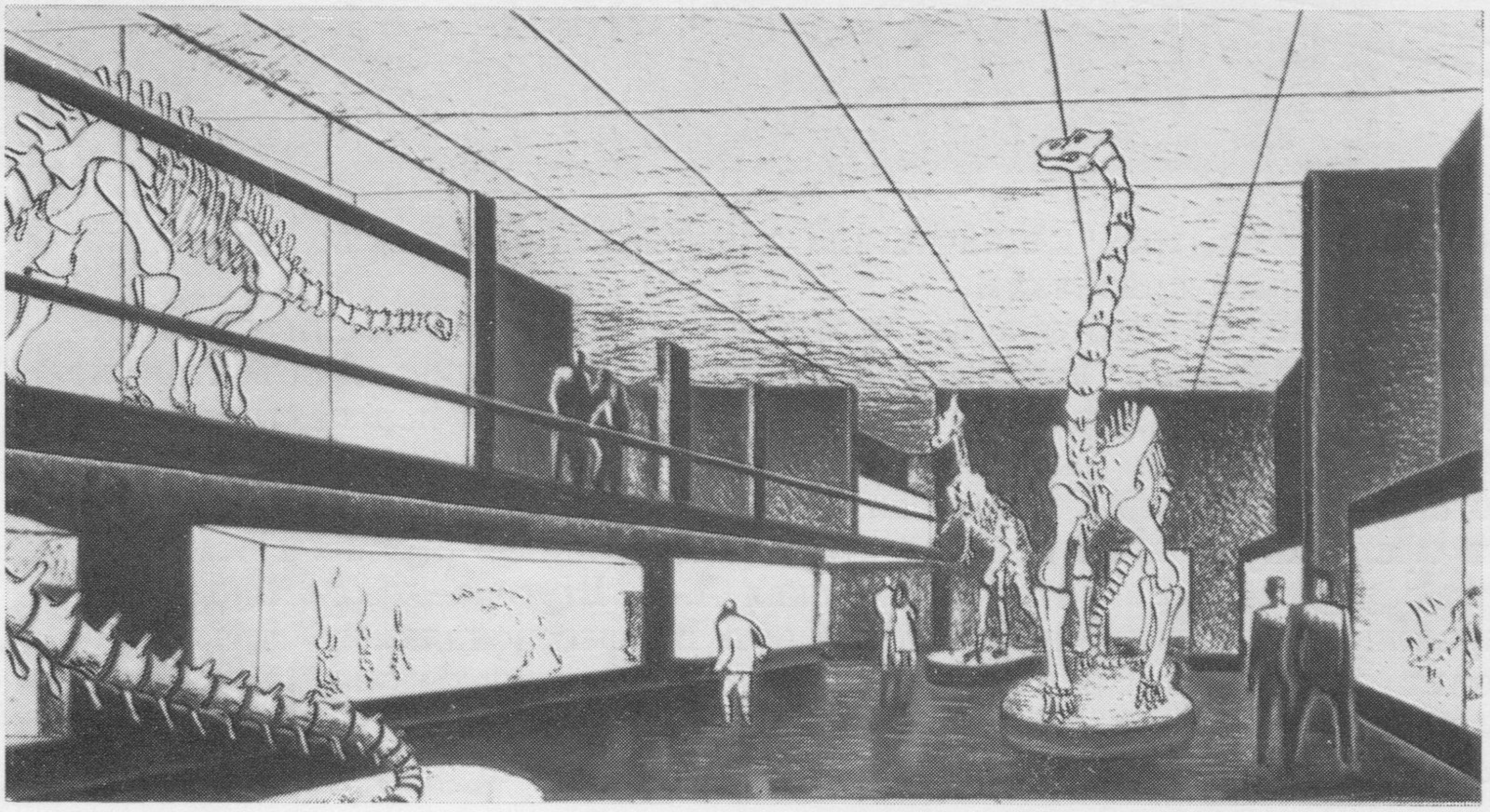 Музей палеонтологии. Интерьер, фрагмент экспозиции