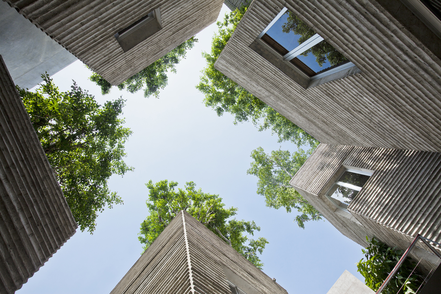 «Дом для деревьев». Vo Trong Nghia Architects. Фото: Hiroyuki Oki