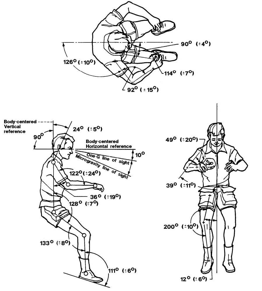 Усредненное изображение нейтрального положения тела из стандарта MSIS