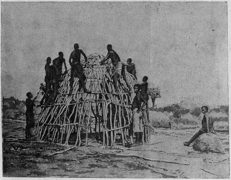 Рис. 36. Деревянный арочно-каркасный купол-палатка, жилище негритянского племени вакара