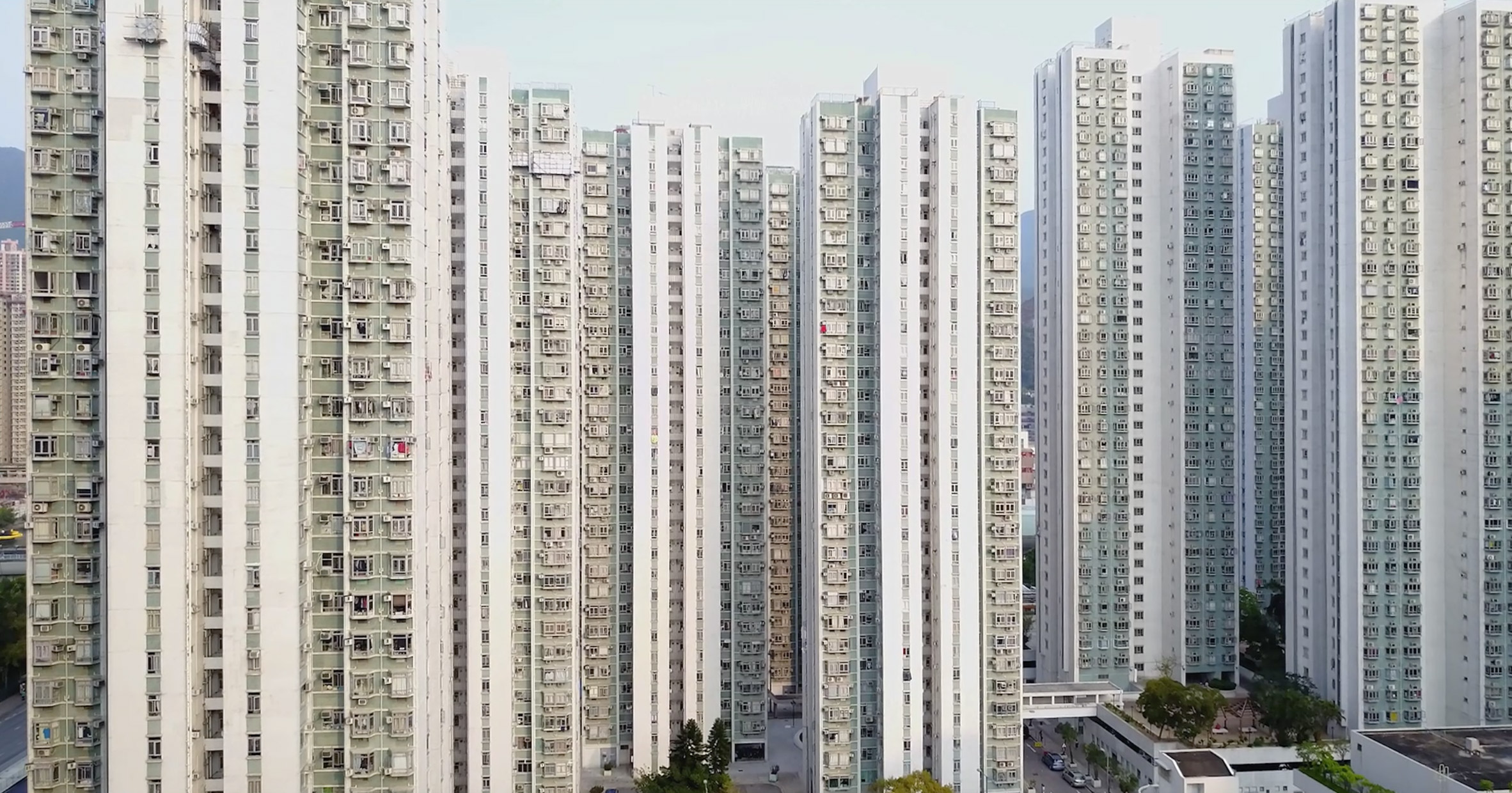 Скриншот из фильма Wěndìng Fánróng. Гонконг, 2017. © Mariana Bisti