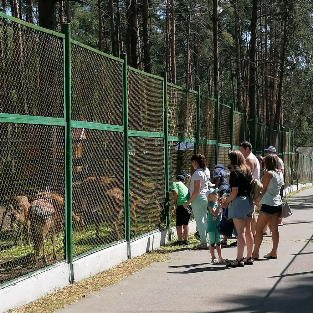 Бюджетное учреждение Орловской области «Хотынецкий природный парк»