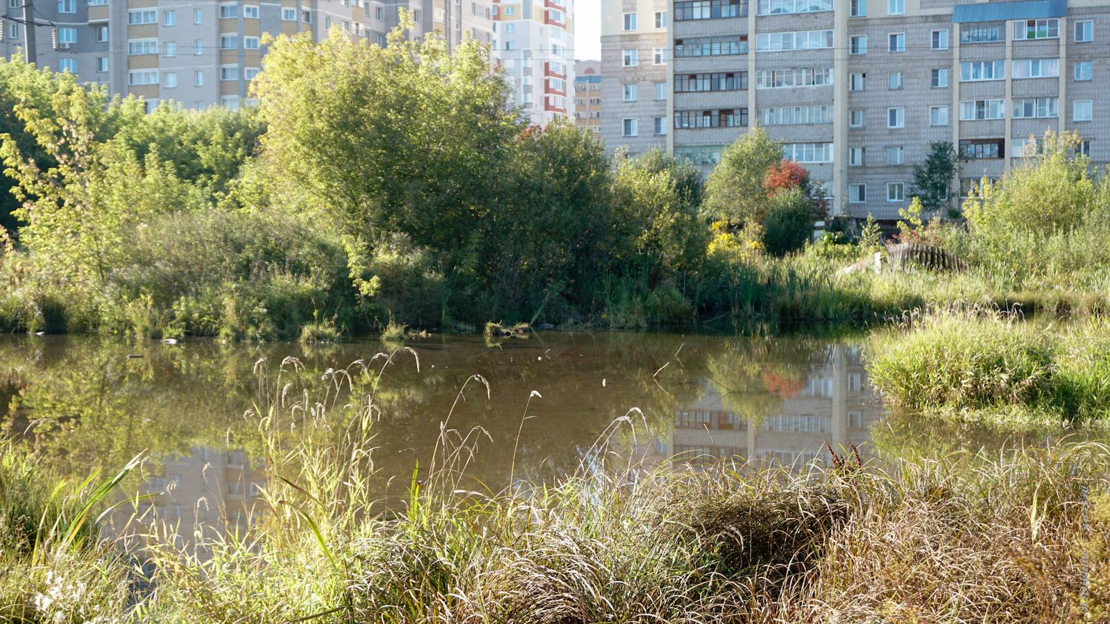 территория вокруг пруда на реке Люльченка в городе Кирове