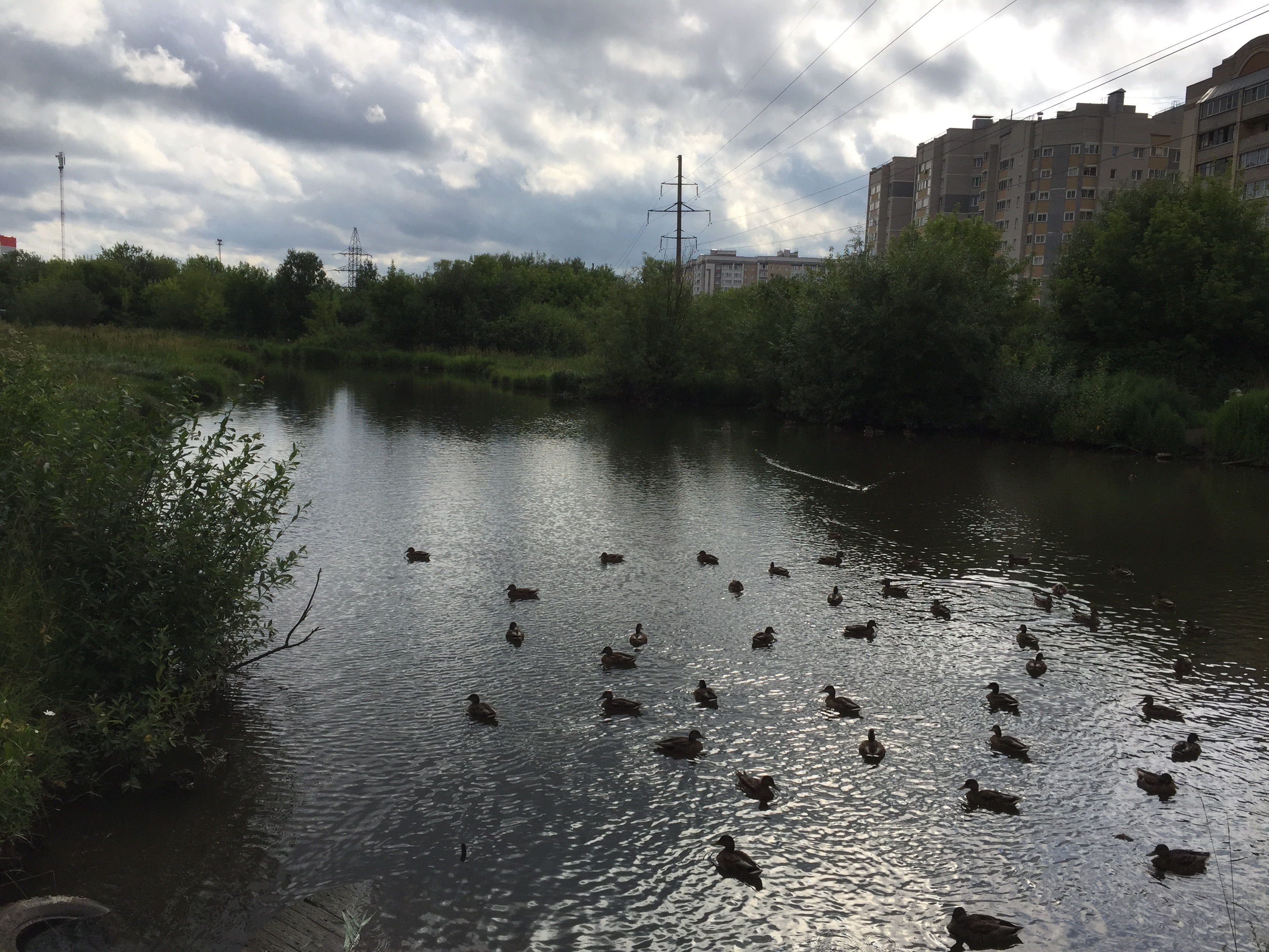 территория вокруг пруда на реке Люльченка в городе Кирове