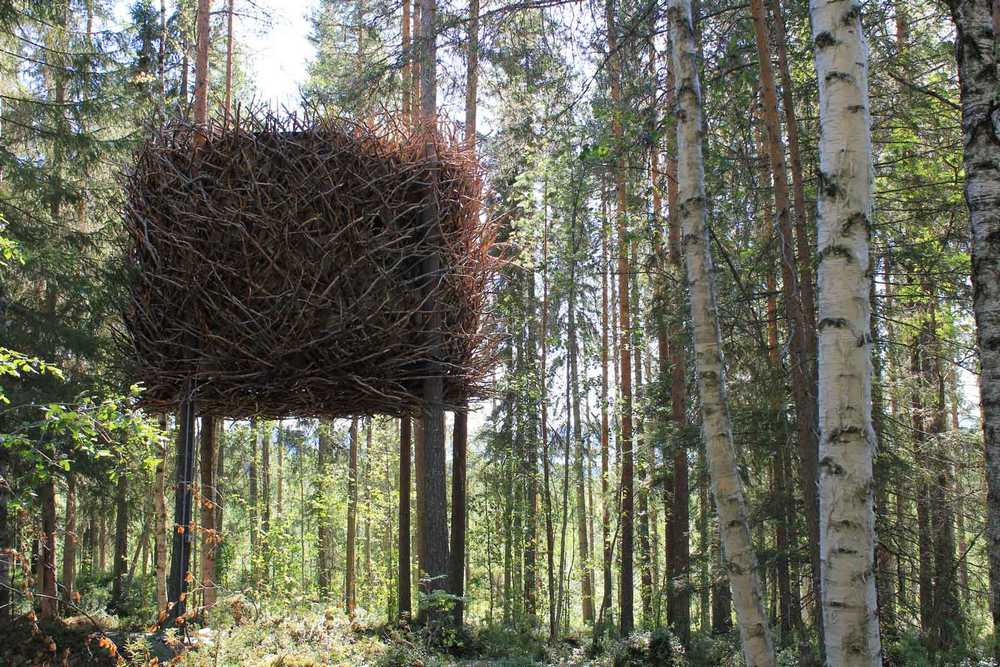 The Bird’s Nest by Inrednin Gsgruppen