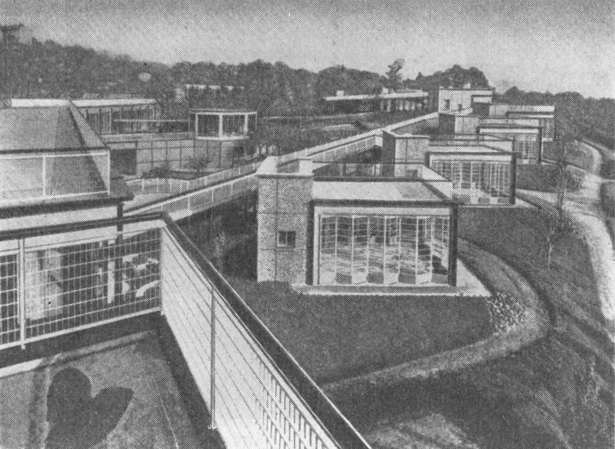 8. Сюрен. Школа, 1935 г. Архитекторы Э. Бодуэн и М. Лодс. Генплан, общий вид со стороны сада