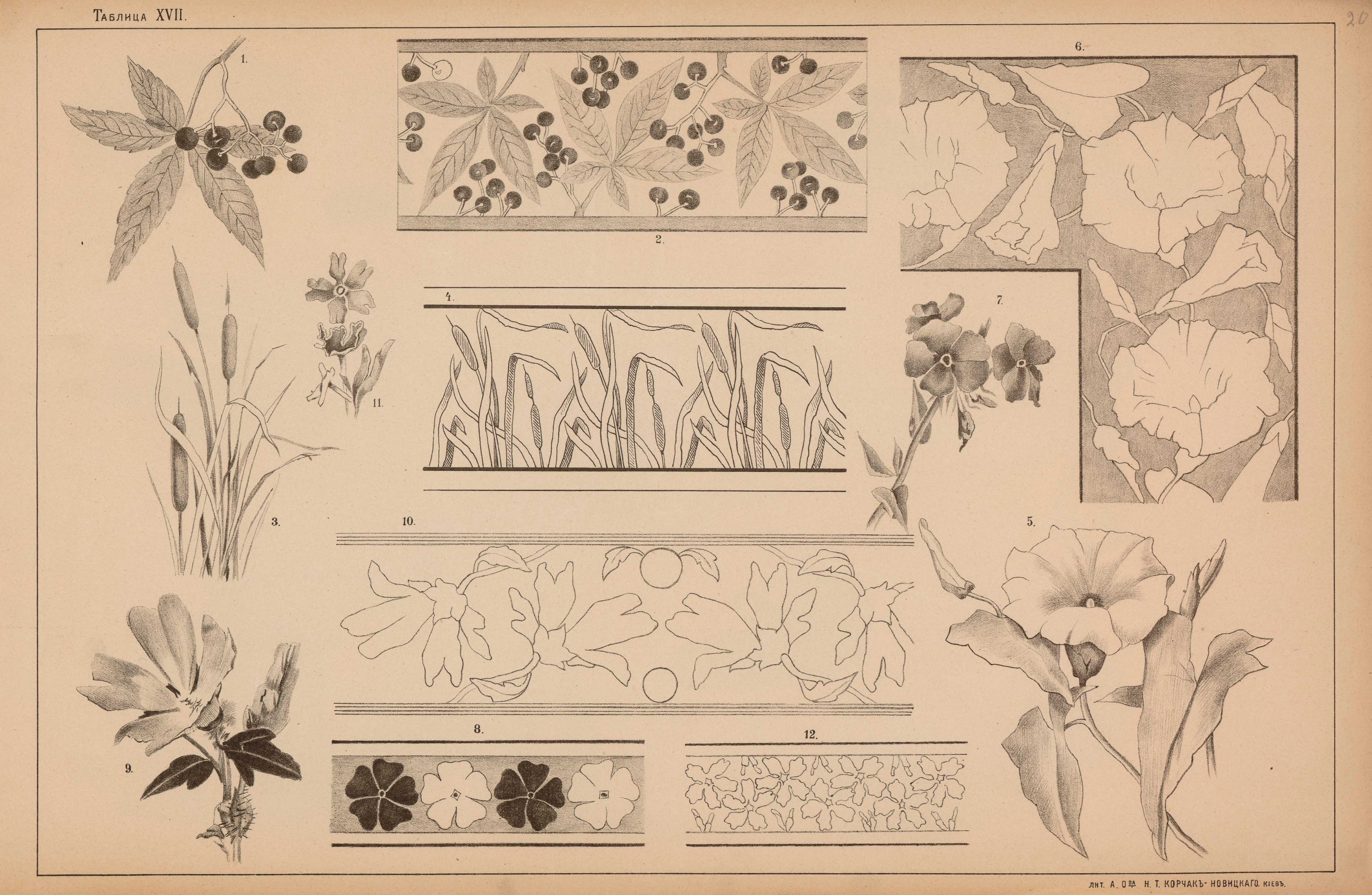 Примеры стилизации. Рисунки 1 и 2 лист и плоды дикого винограда и узор из них.