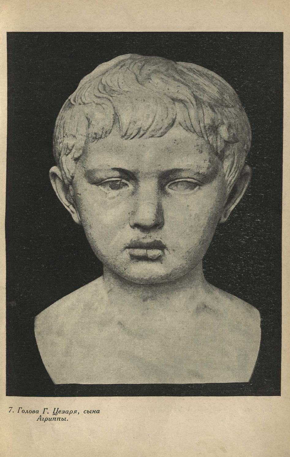Голова Г. Цезаря, сына Агриппы
