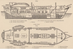 Круг чтения Дарвина в 1831—1836: оцифрована библиотека корабля «Бигль»