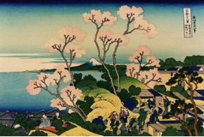 Кацусика Хокусай. Тридцать шесть видов Фудзи: № 20. Вид на Фудзи с горы Готэнъяма у реки Синагава