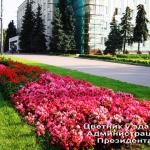 Цветник у здания администрации Президента УР (2009).