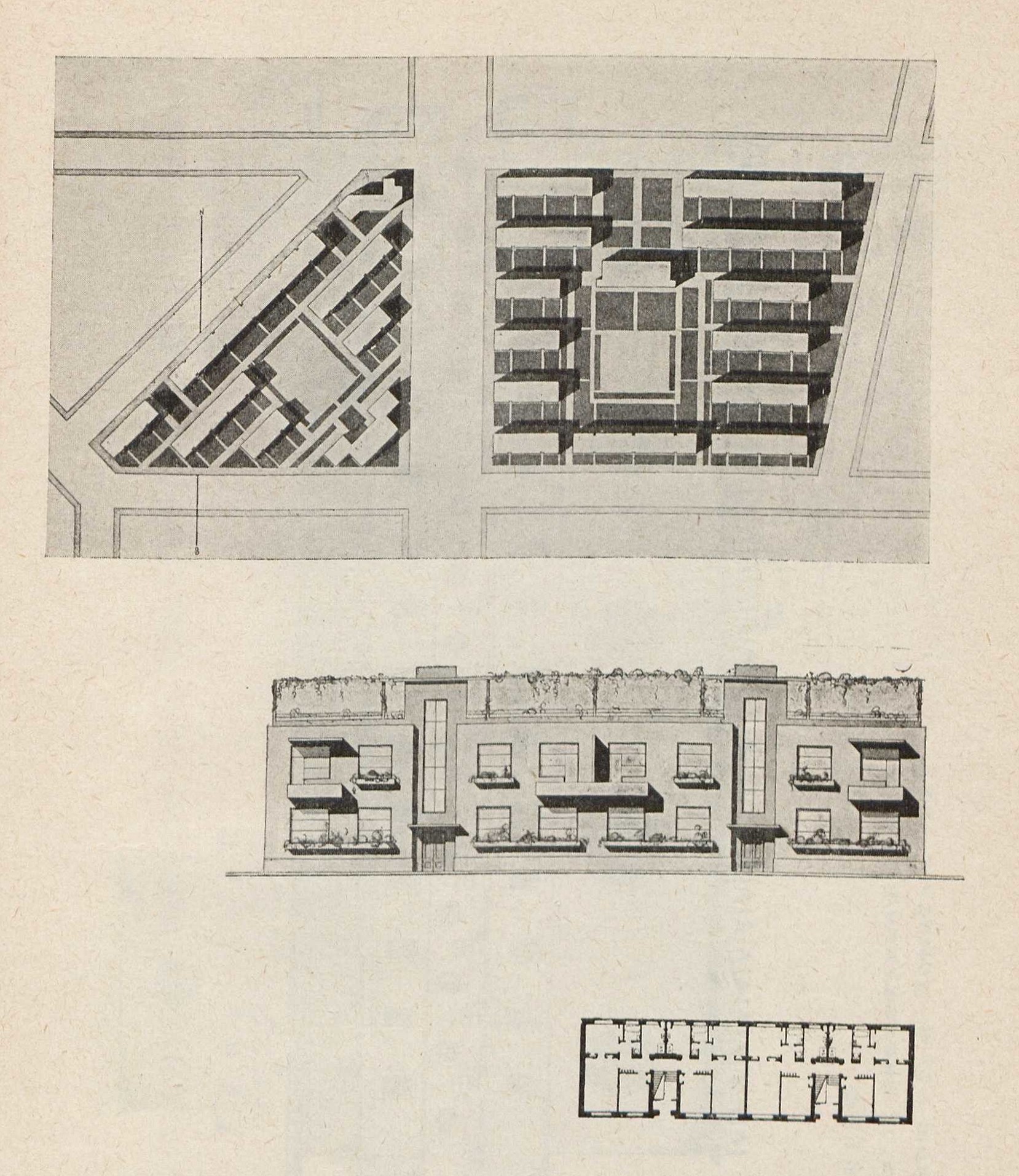 IV курс. Планировка пригородного квартала и типовой дом — Г. В. Майзель. 1928