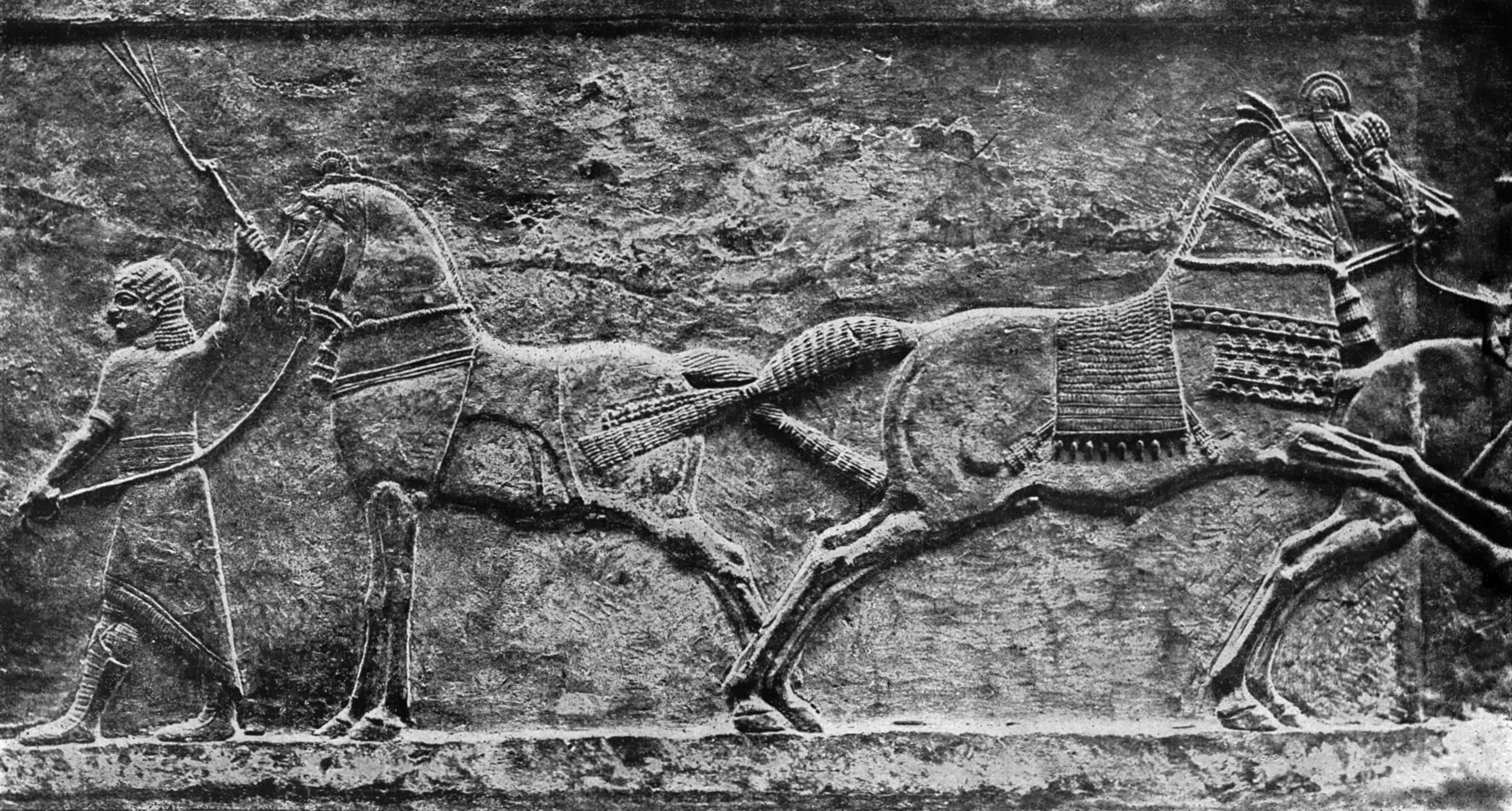 49. Воины и кони. Рельеф из Ниневии (Куюнджика). 668—626 гг. до н. э. Британский Музей.