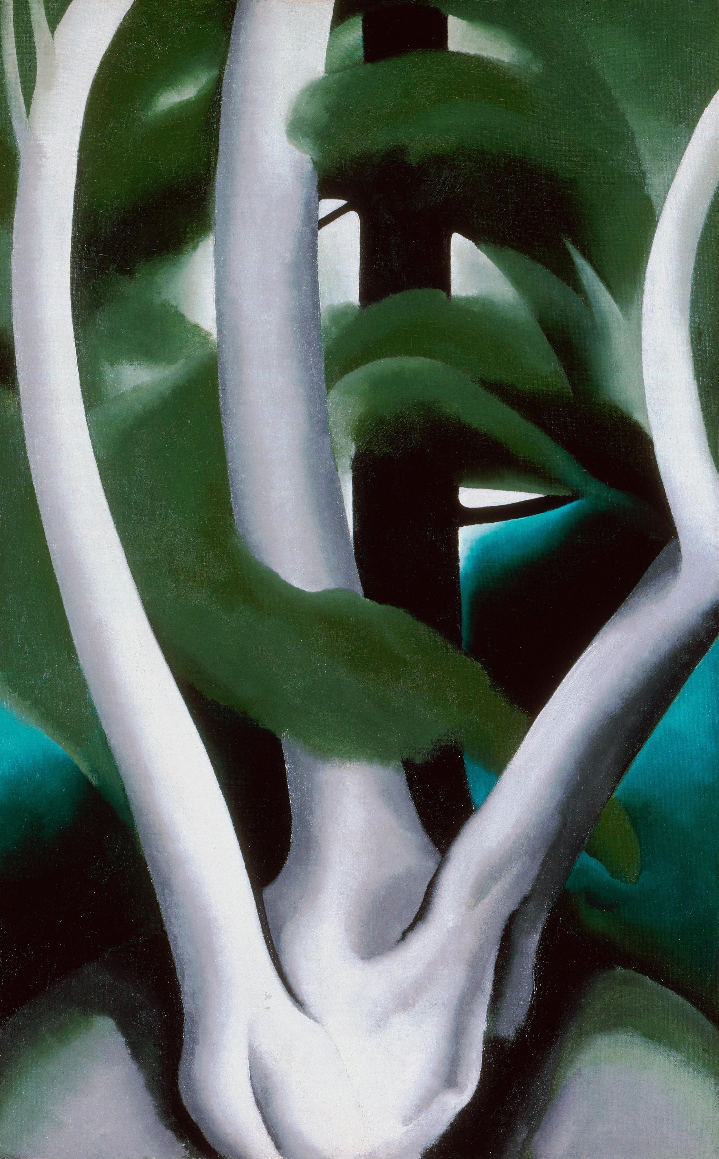 Georgia O'Keeffe. Birch and Pine Tree No. 1. 1925. Source: Philadelphia Museum of Art