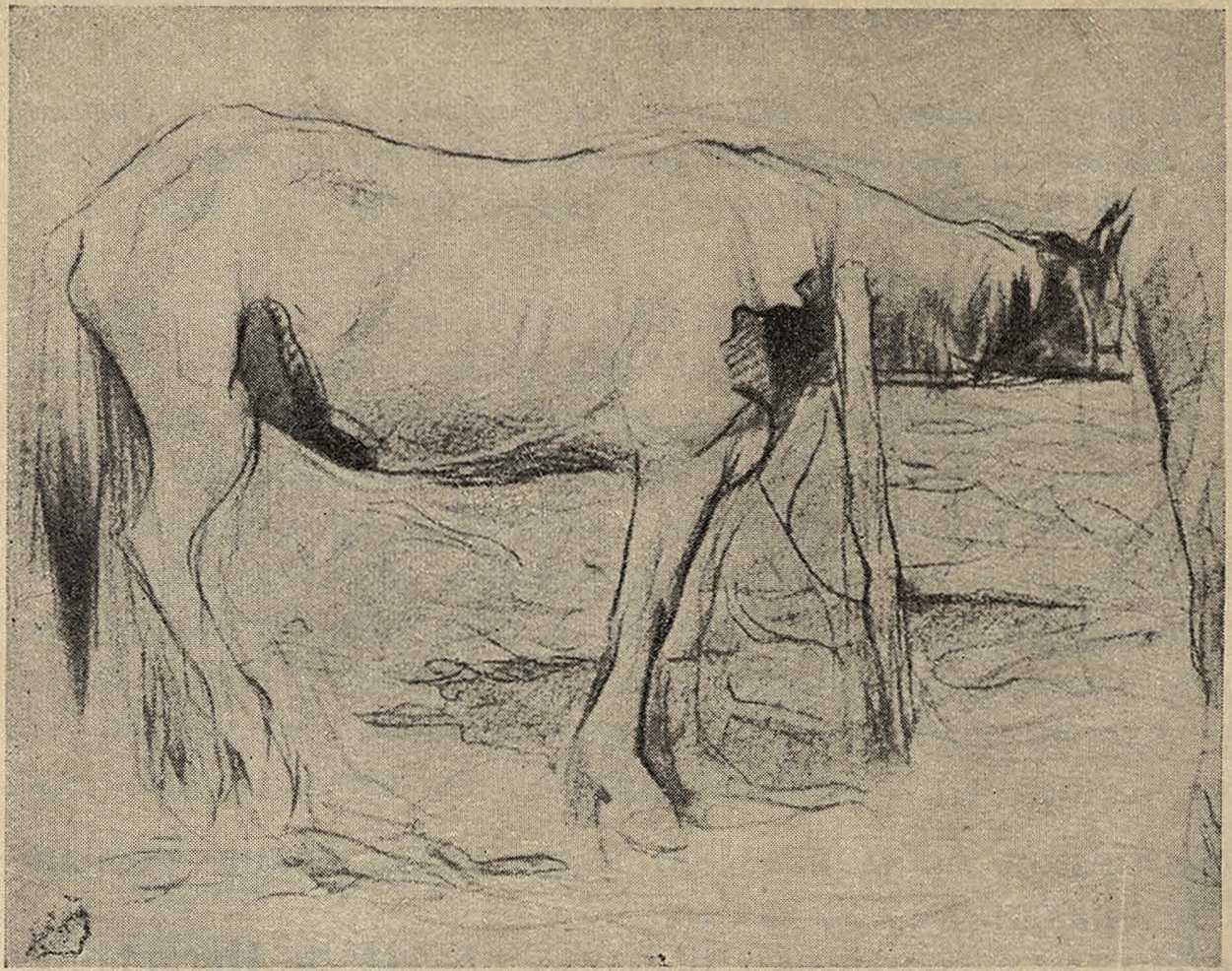 Бродский. Казачья лошадь. Рисунок 1906 г.