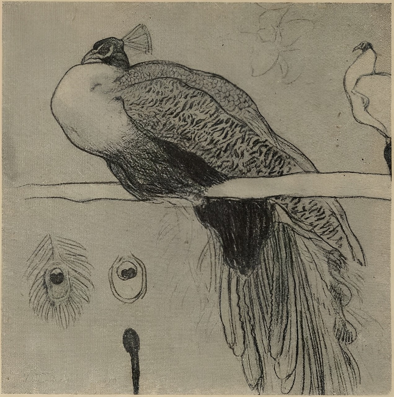 Исаак Бродский. Павлины. Рисунок к картине «Сказка» 1910 г.