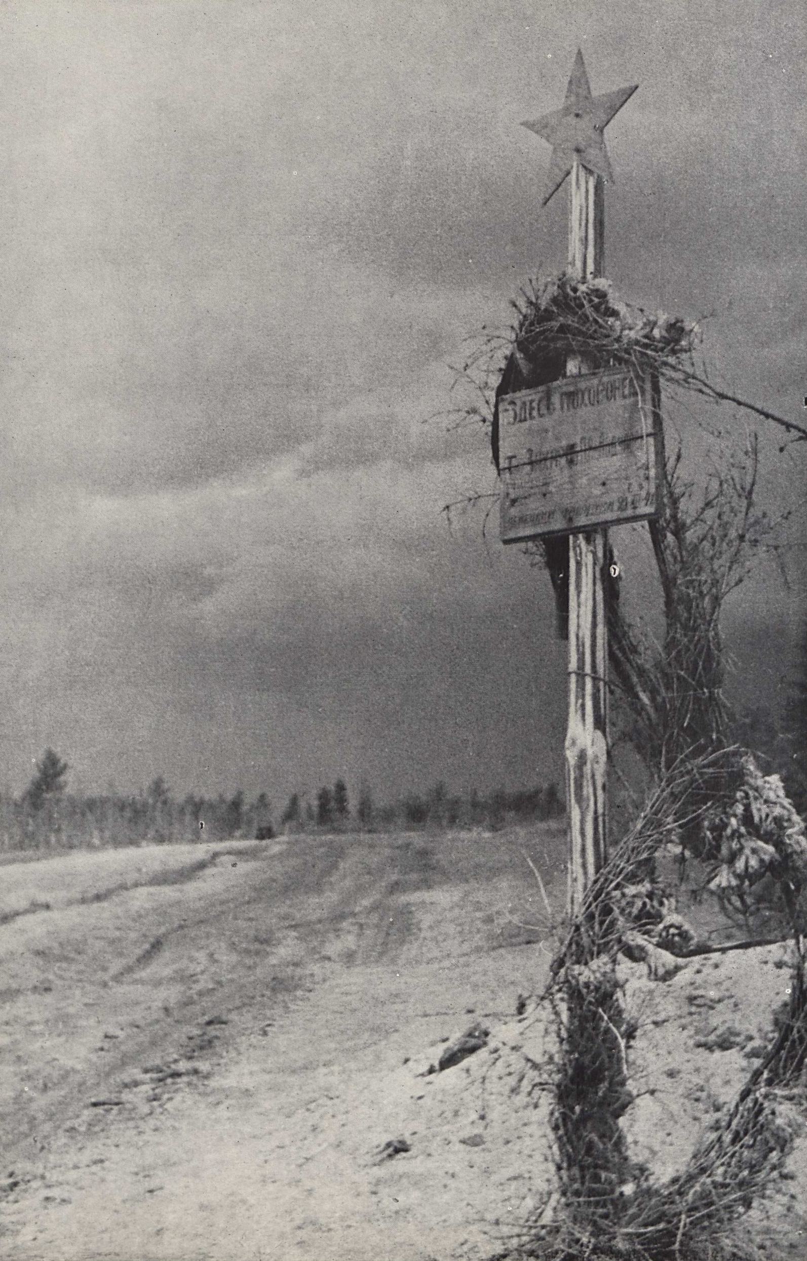 Солдатская могила в районе Быдгощи. 1942. Польша