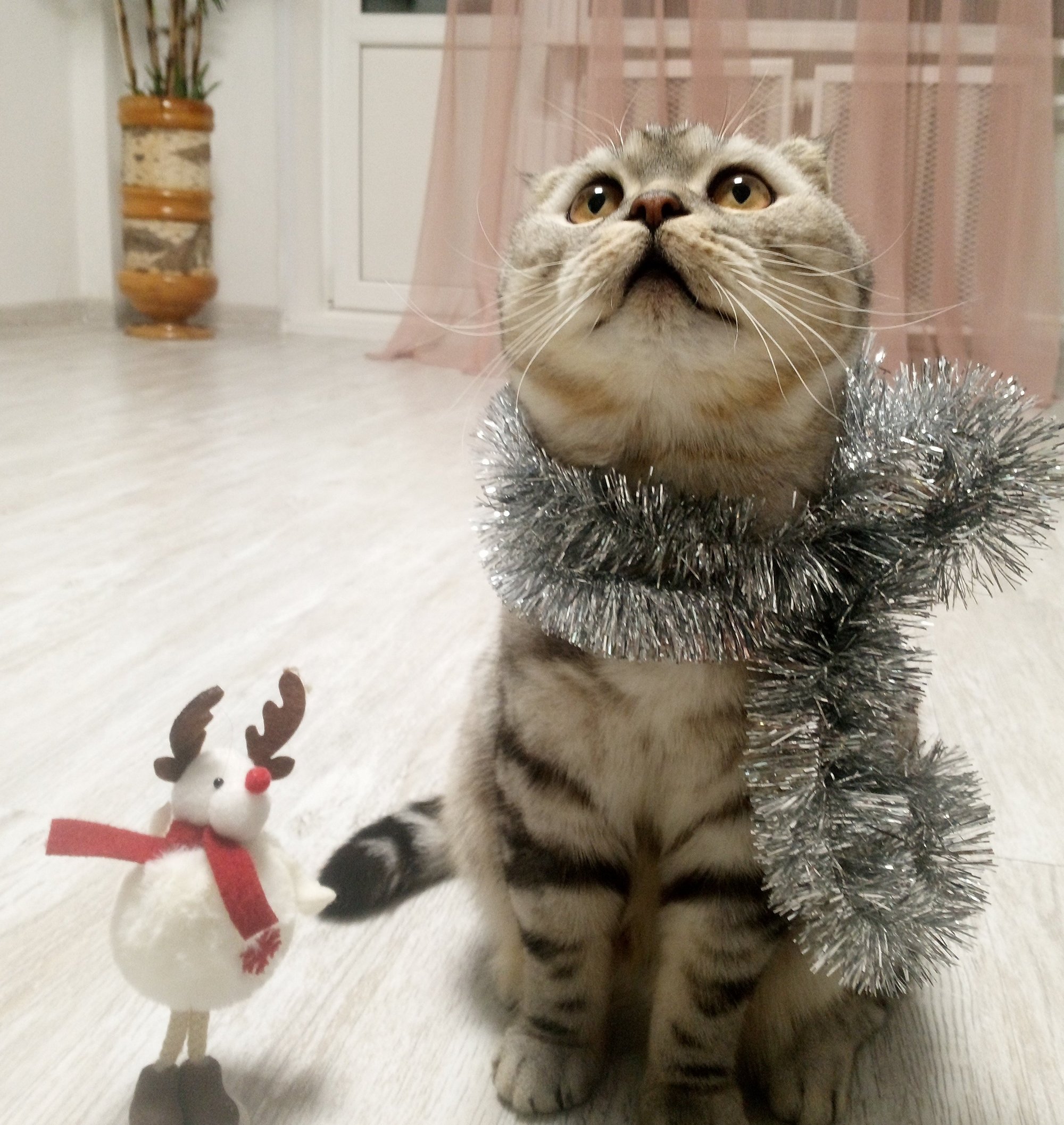 Anti-tale: Спящая красавица и москалi: troika_ptah — LiveJournal