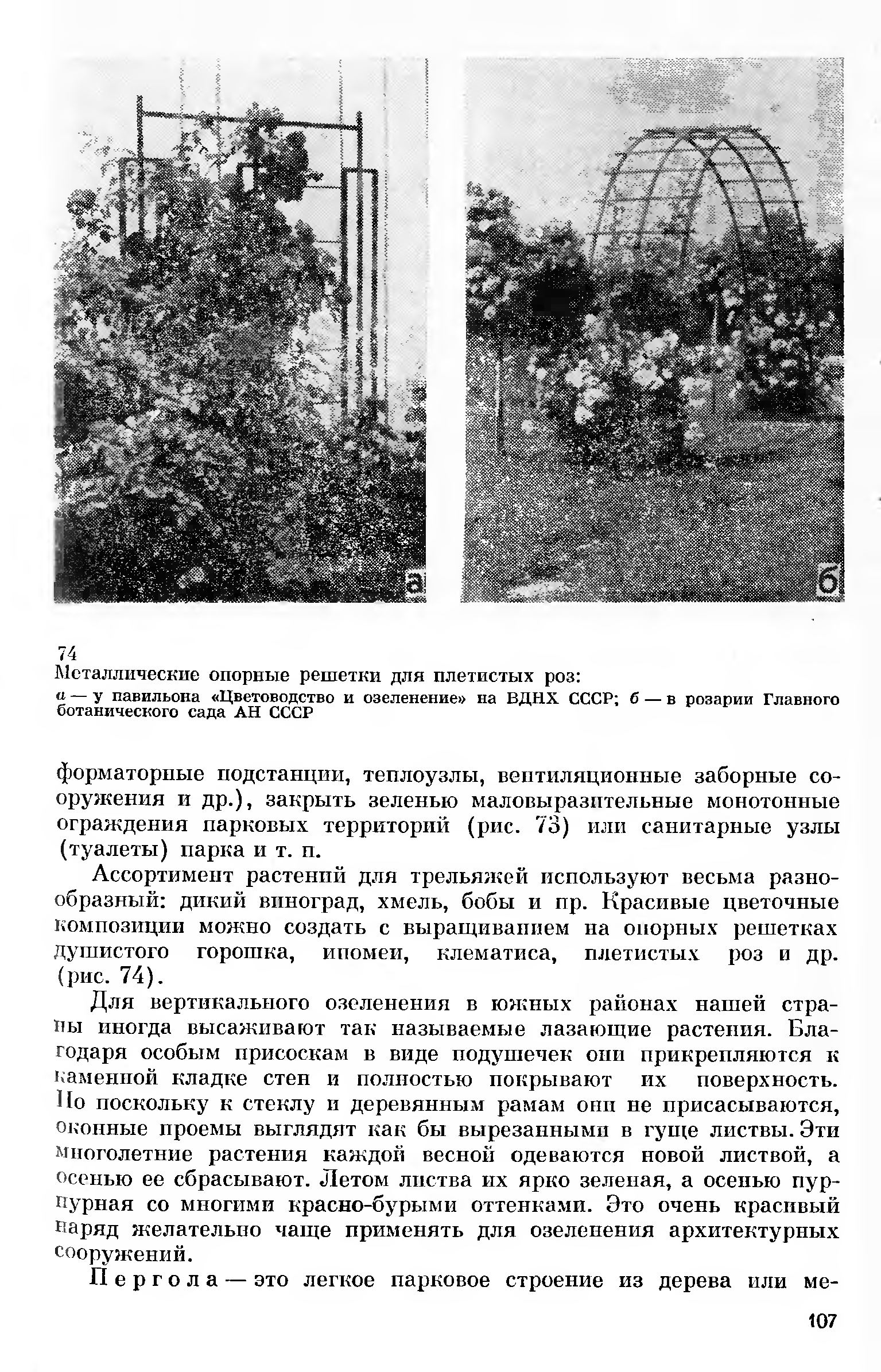 Архитектурно-художественные компоненты озеленения городов : Учеб. пособие для худож.-пром. вузов и архит. фак. / В. Н. Горбачев. — Москва : Высшая школа, 1983