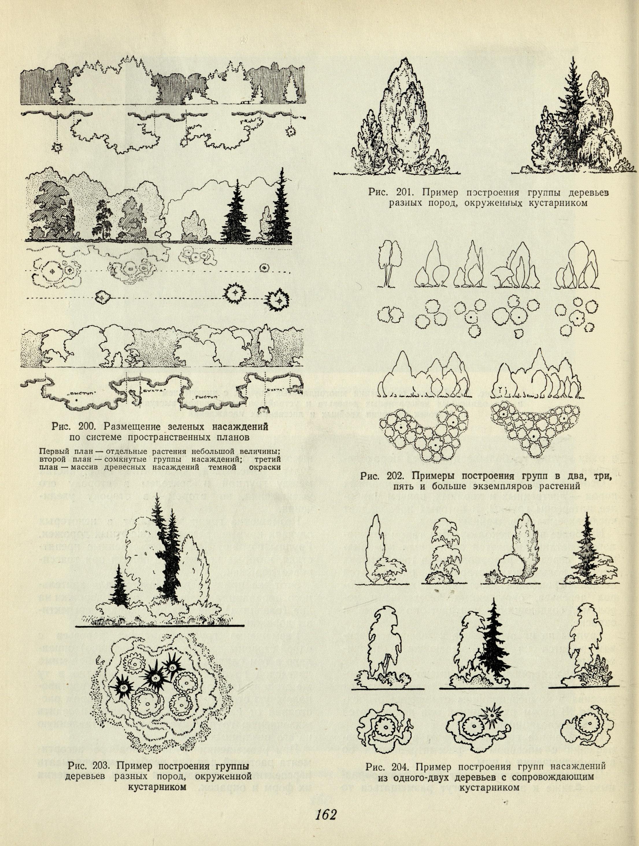 Озеленение советских городов : Пособие по проектированию / Академия архитектуры СССР, Научно-исследовательский институт градостроительства. — Москва : Государственное издательство литературы по строительству и архитектуре, 1954