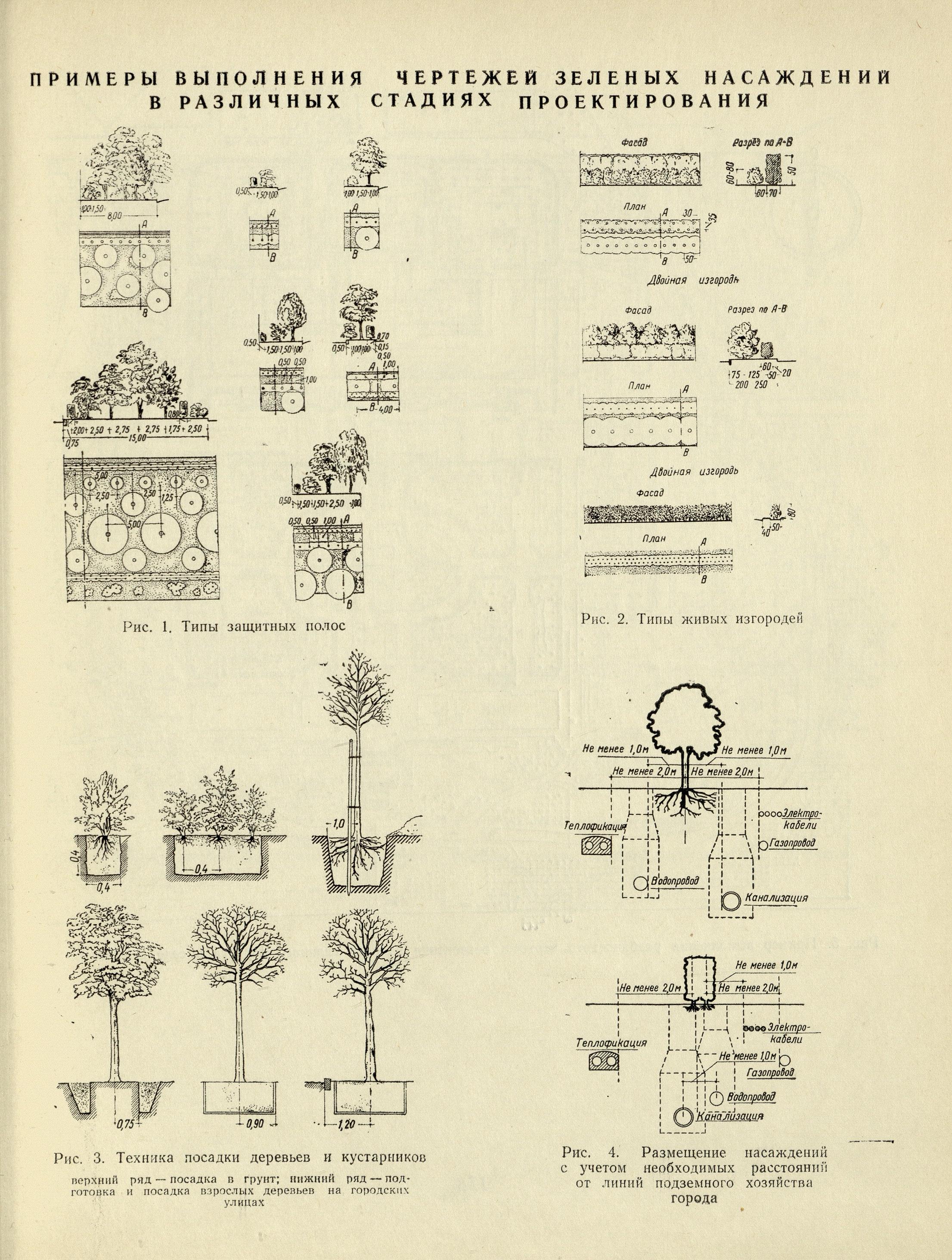 Озеленение советских городов : Пособие по проектированию / Академия архитектуры СССР, Научно-исследовательский институт градостроительства. — Москва : Государственное издательство литературы по строительству и архитектуре, 1954