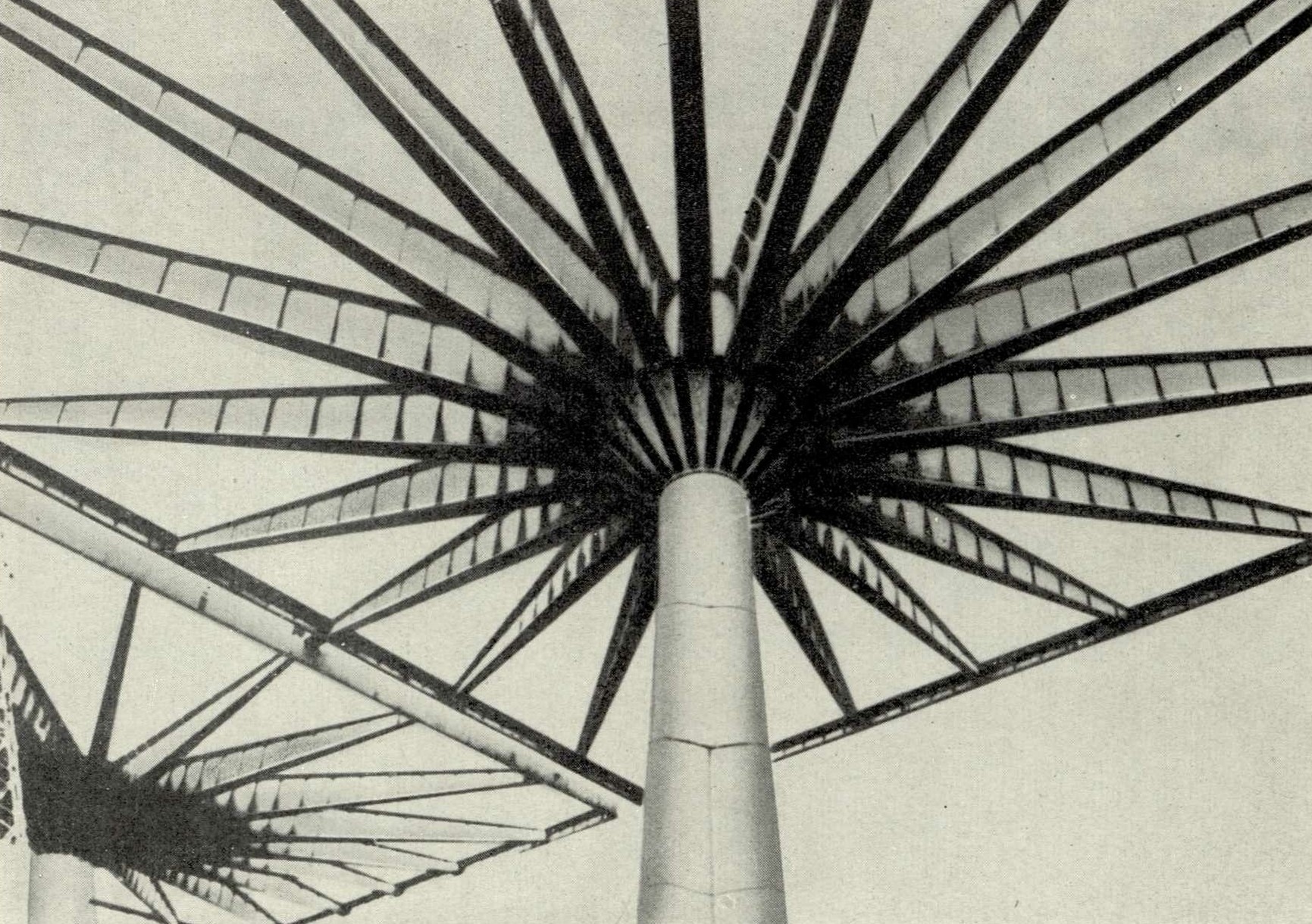 Дворец труда в Турине. Архитектор П. Л. Нерви. Колонна, поддерживающая грибообразный свод.