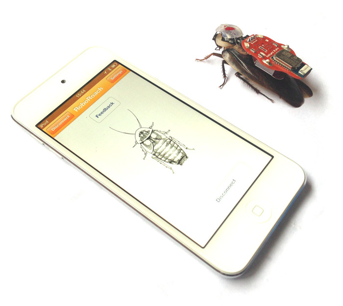 управление тараканом при помощи смартфона