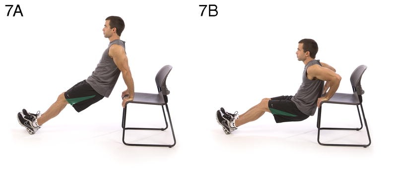Triceps Dip on Chair (отжимания на трицепс со стула)