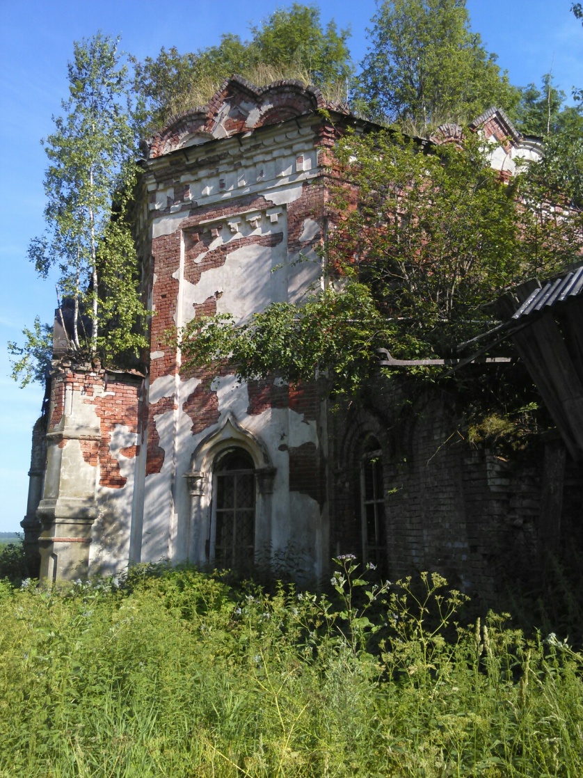 Большой Селег. Церковь Покрова Пресвятой Богородицы. Поросль на крыше, июль 2018