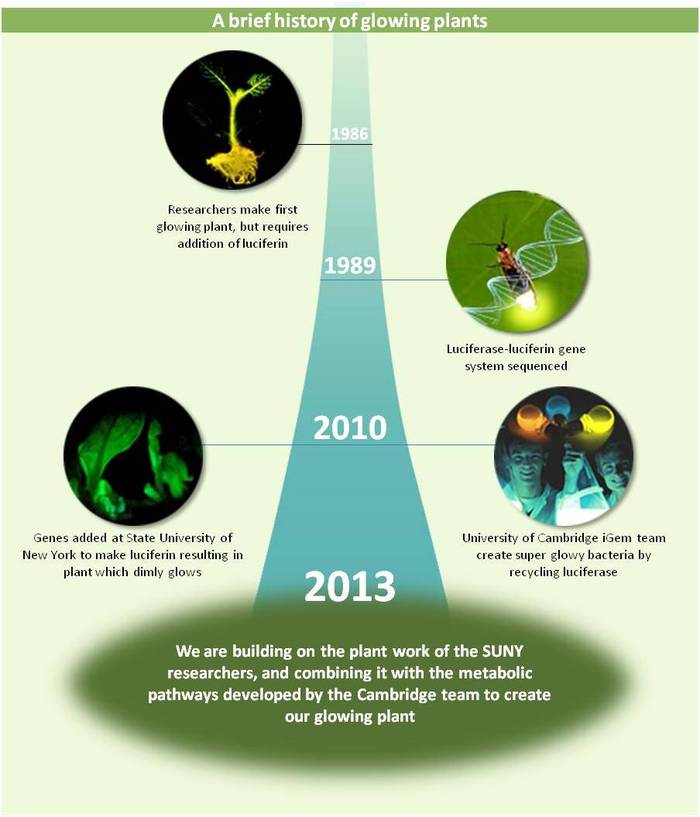 история создания светящихся растений
