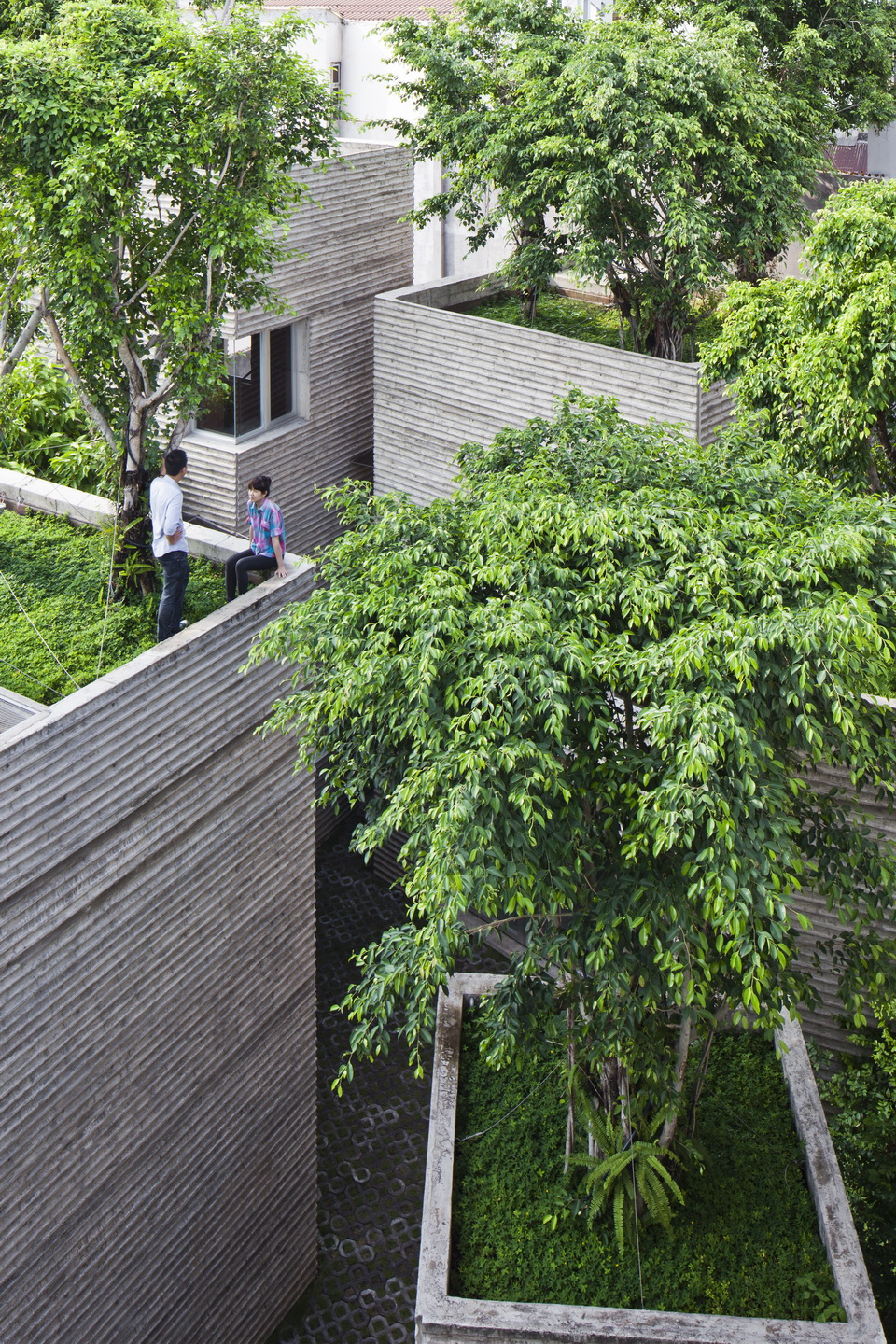 «Дом для деревьев». Vo Trong Nghia Architects. Фото: Hiroyuki Oki