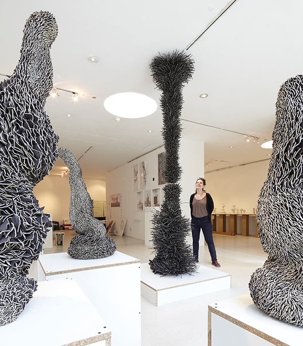На шоу Королевского колледжа искусств в Лондоне в 2012 году (Show RCA 2012) в Галерее Генри Мура Земер Пелед представила инсталляцию «Лес осколков» в виде скульптур, традиционно выполненных из тысяч керамических осколков
