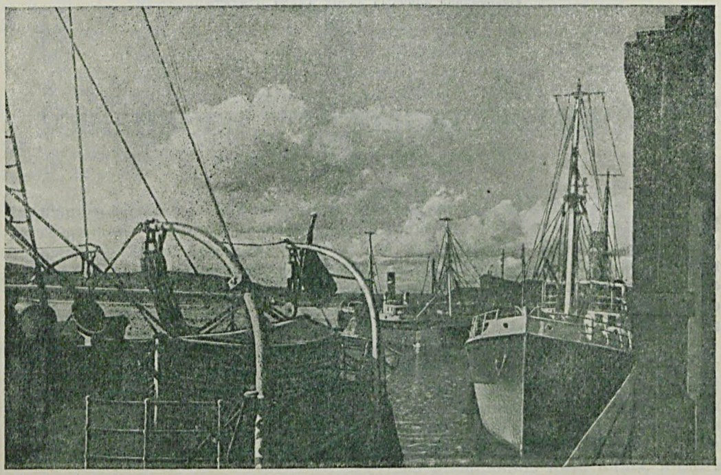 За Полярный кругом, на Мурмане, — «крае непуганных птиц» — большевики создали передовую рыбную индустрию. На снимке — траулеры в Мурманском рыбном порту.