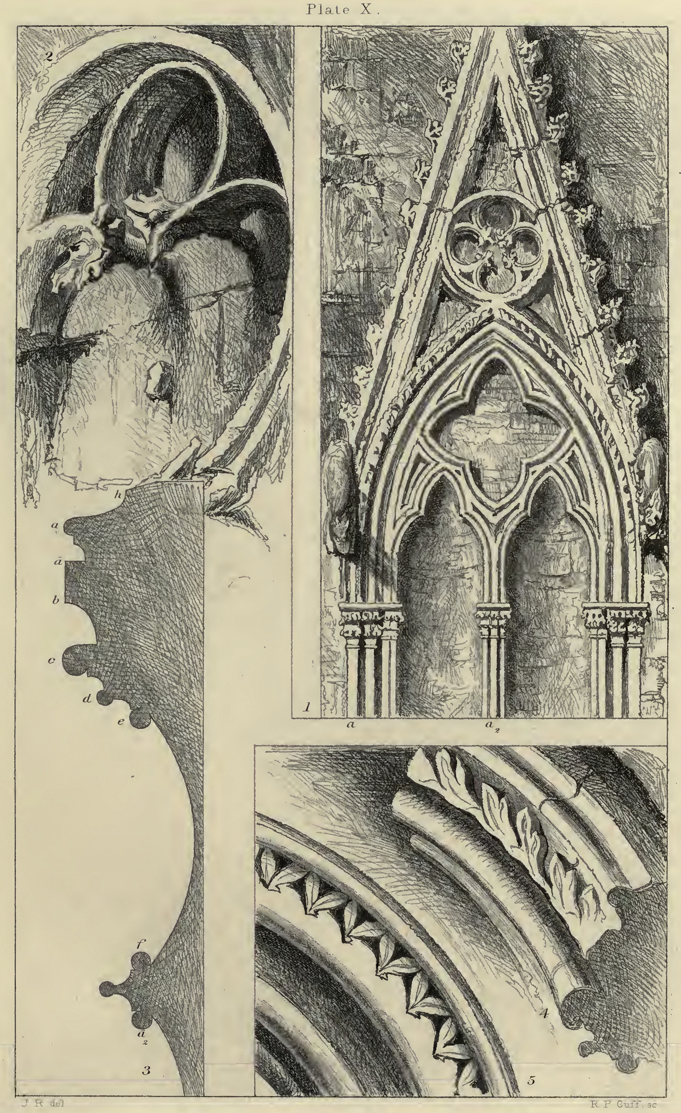 X. Traceries and Mouldings from Rouen and Salisbury